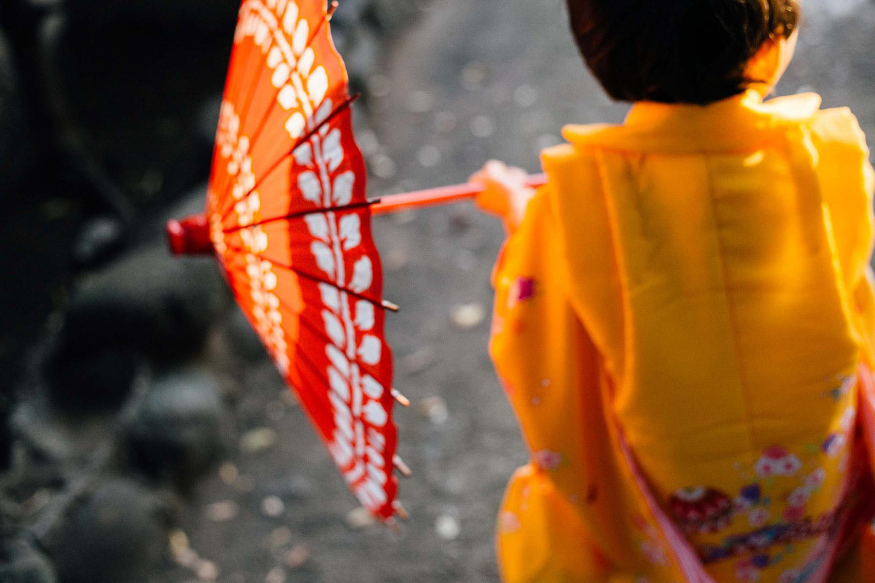 京都七五三出張撮影