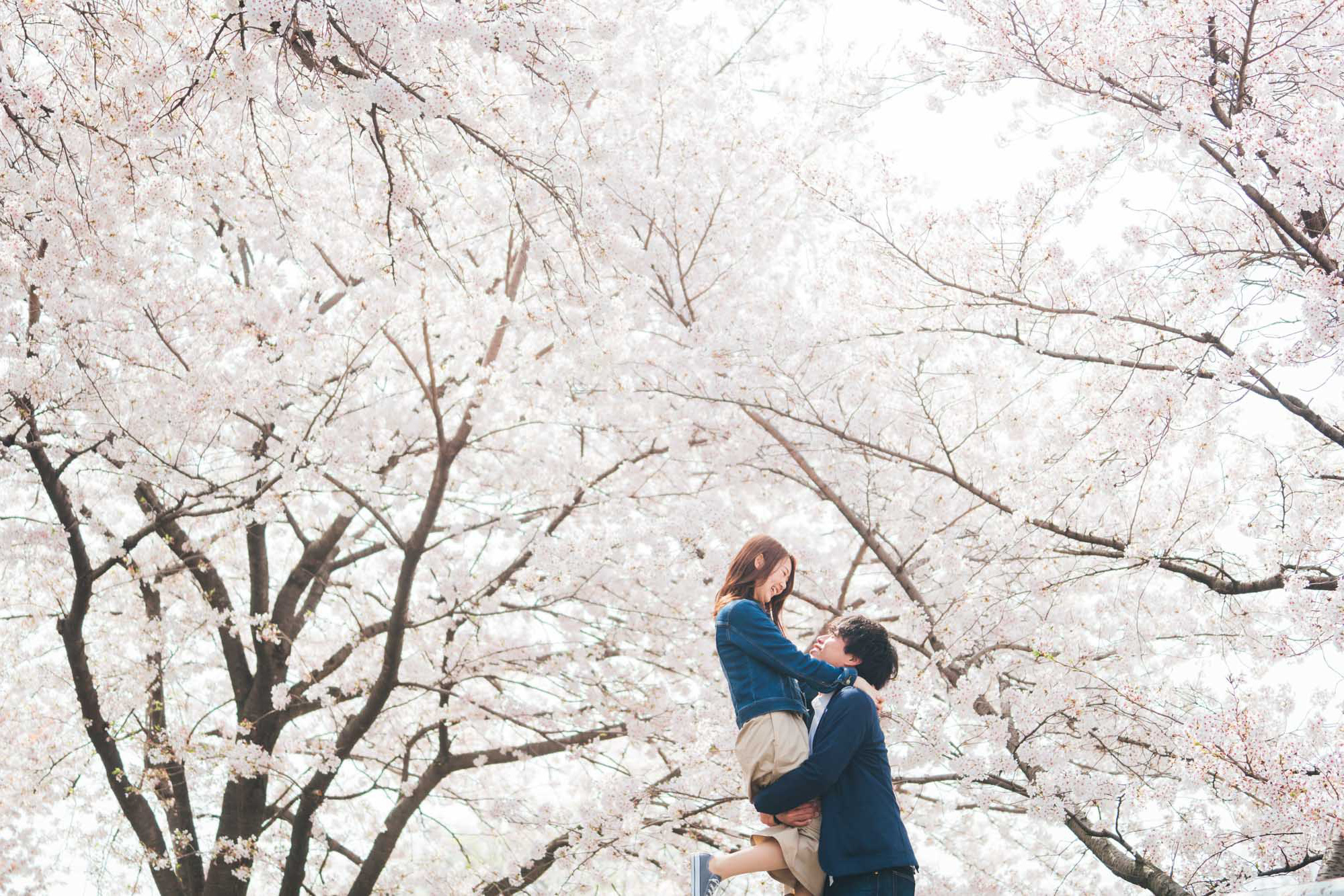 japanprewedding  japanphotographer japanweddingphotographer weddingphotographer kyotophotographer kyotoprewedding kyotoweddingphotographer kyotofamilyphoto kyotocouplephotoengagementphoto kyotoengagementphoto