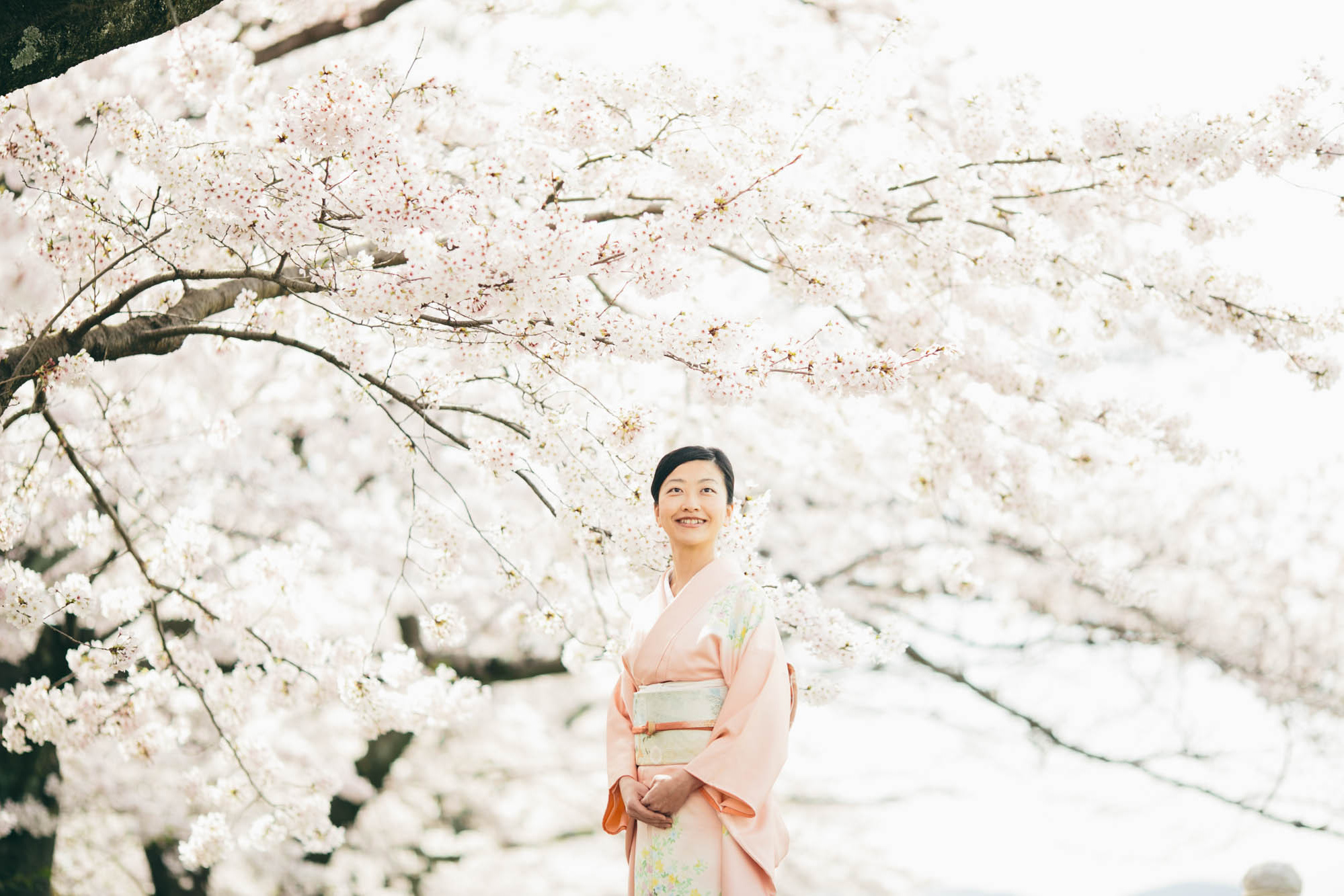 japanprewedding  japanphotographer japanweddingphotographer weddingphotographer kyotophotographer kyotoprewedding kyotoweddingphotographer kyotofamilyphoto kyotocouplephotoengagementphoto kyotoengagementphoto