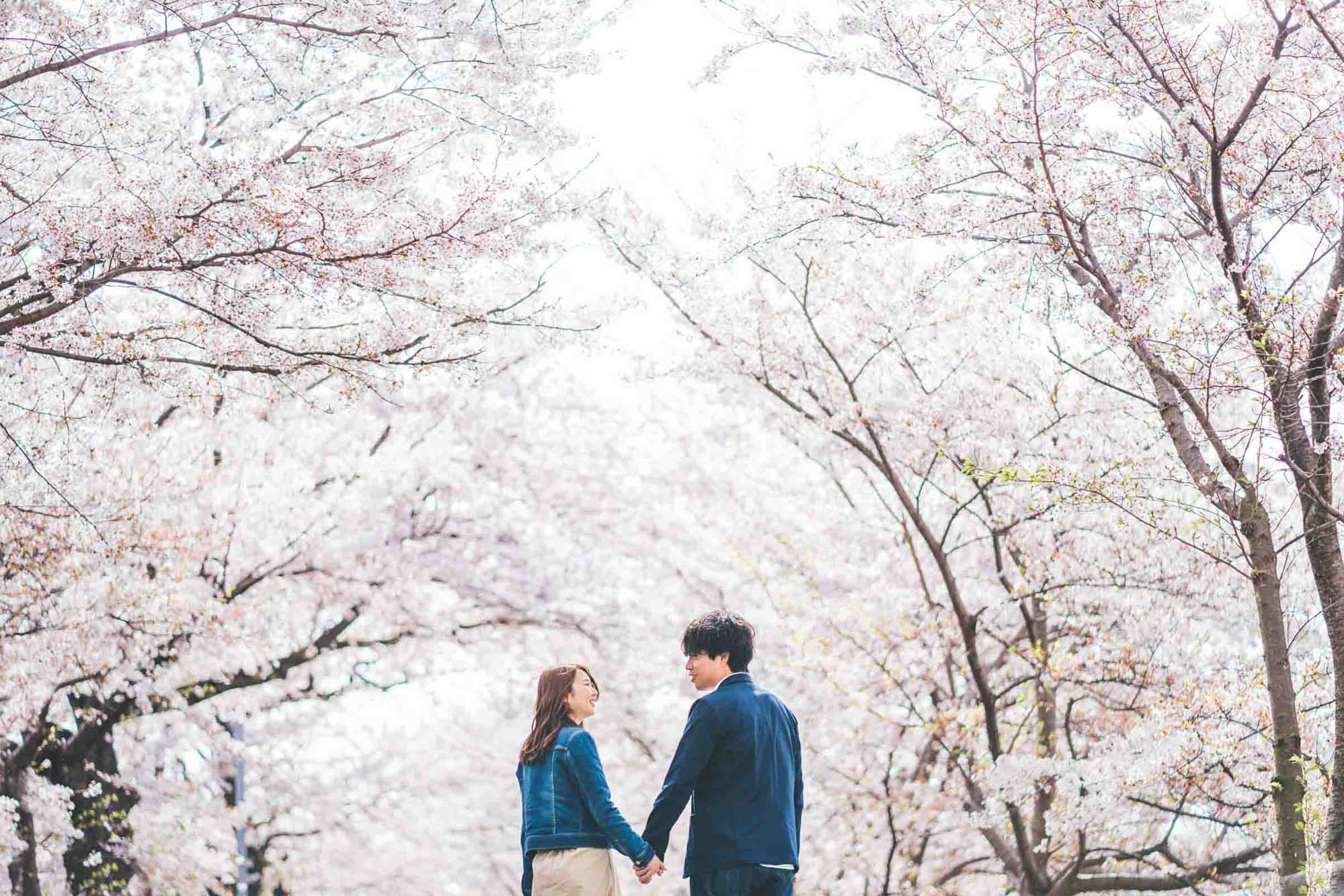 japanprewedding  japanphotographer japanweddingphotographer weddingphotographer kyotophotographer kyotoprewedding kyotoweddingphotographer kyotofamilyphoto kyotocouplephotoengagementphoto kyotoengagementphoto