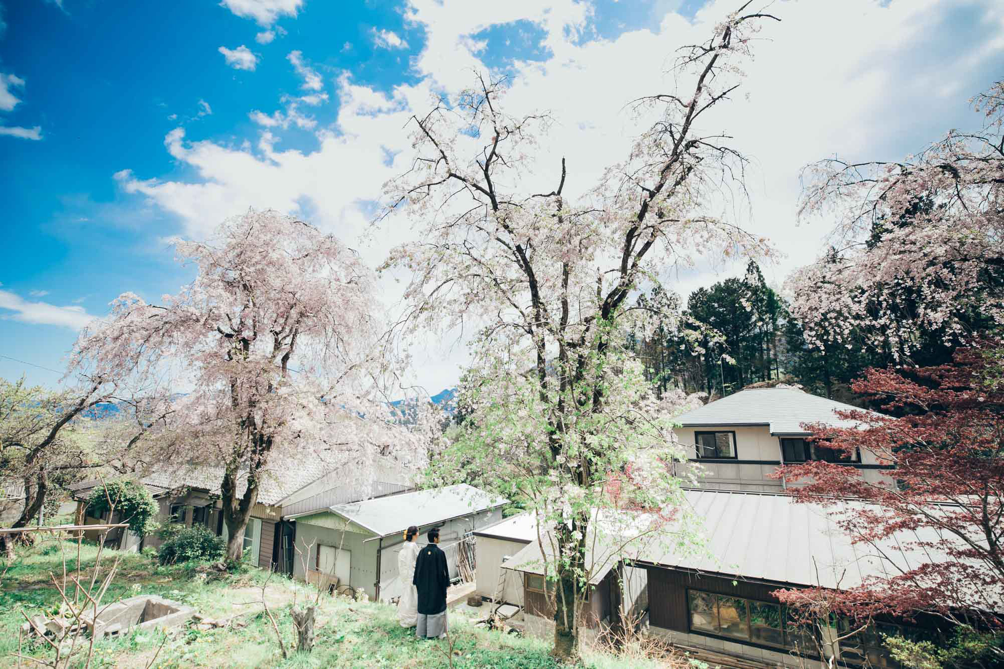 japanprewedding  japanphotographer japanweddingphotographer weddingphotographer kyotophotographer kyotoprewedding kyotoweddingphotographer kyotofamilyphoto kyotocouplephotoengagementphoto kyotoengagementphoto