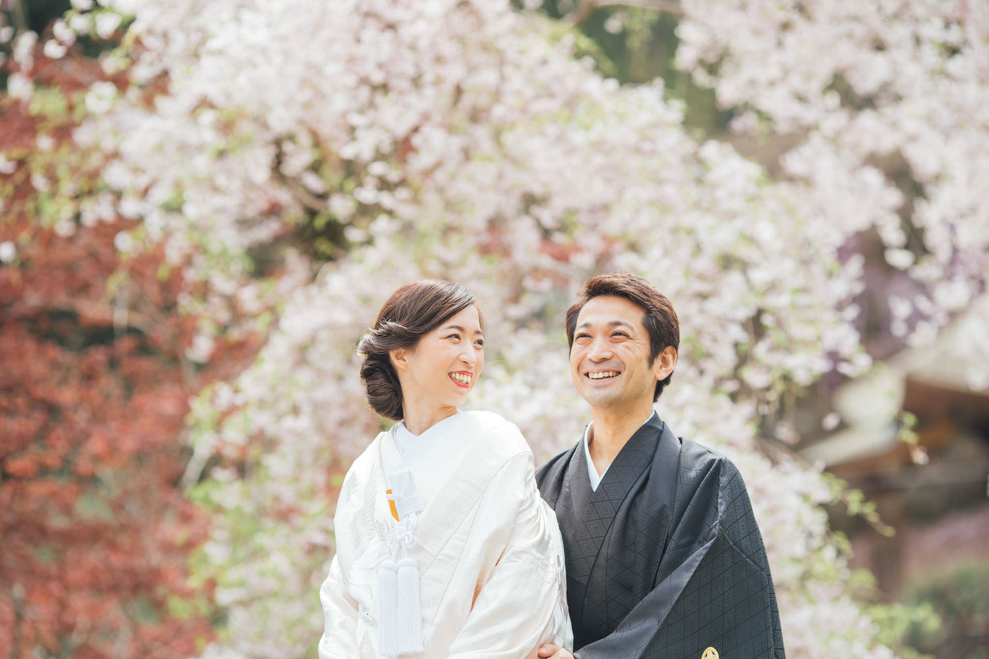 japanprewedding  japanphotographer japanweddingphotographer weddingphotographer kyotophotographer kyotoprewedding kyotoweddingphotographer kyotofamilyphoto kyotocouplephotoengagementphoto kyotoengagementphoto