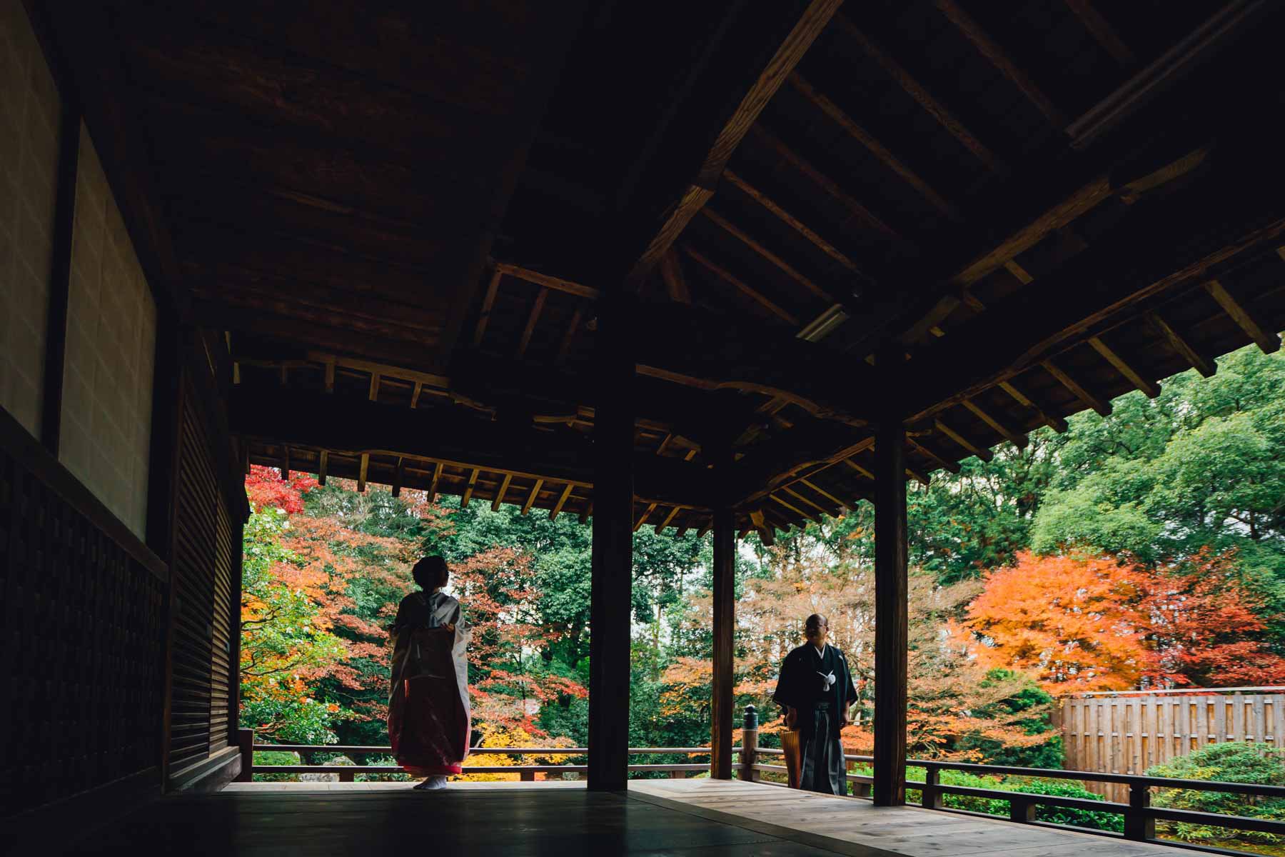 京都紅葉前撮り