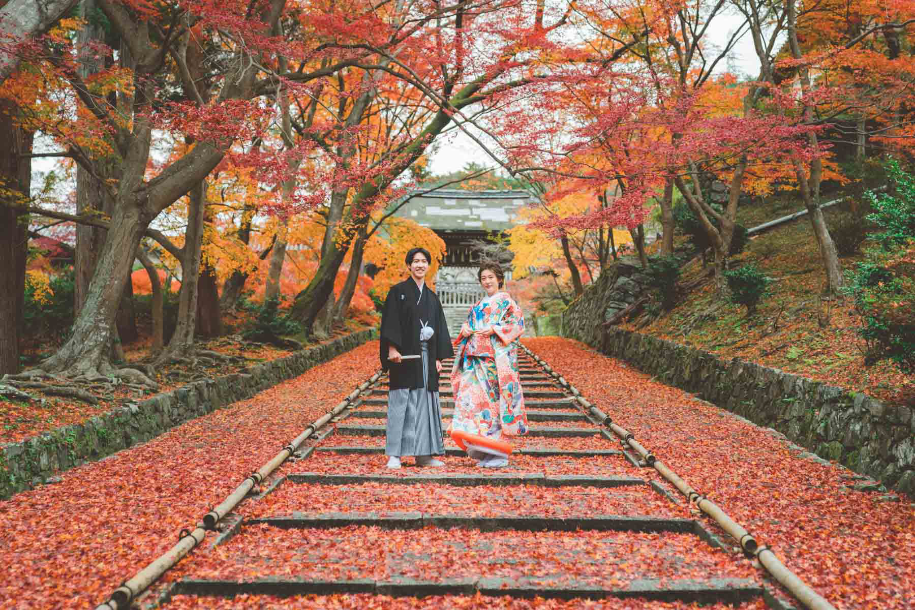 紅葉ロケーション