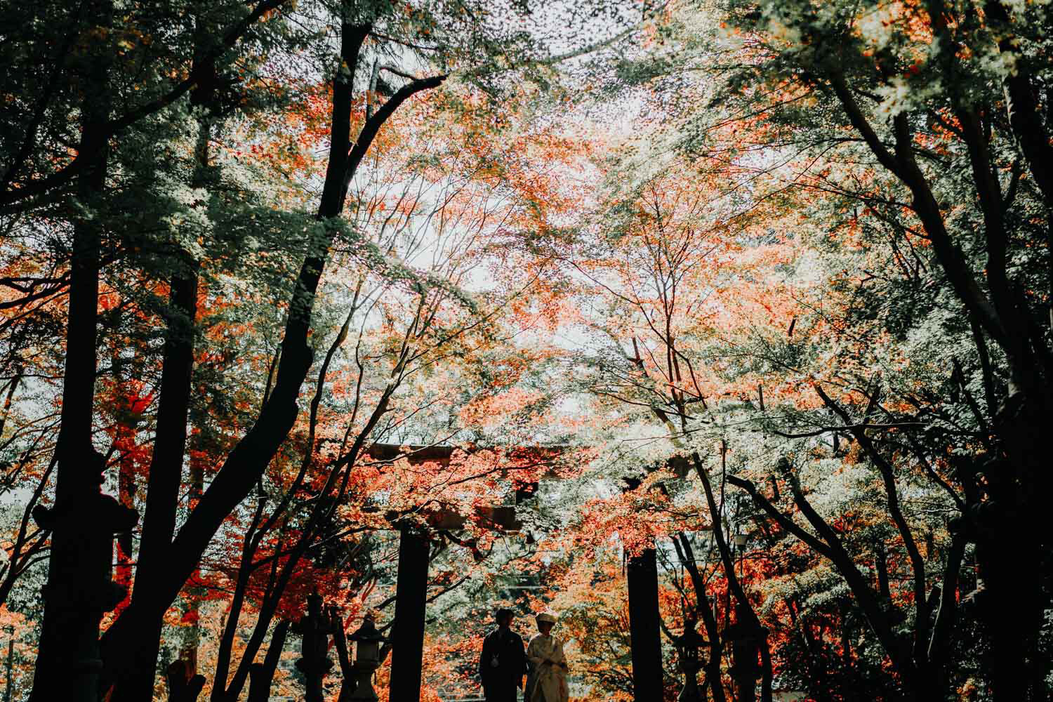 神社仏閣前撮り