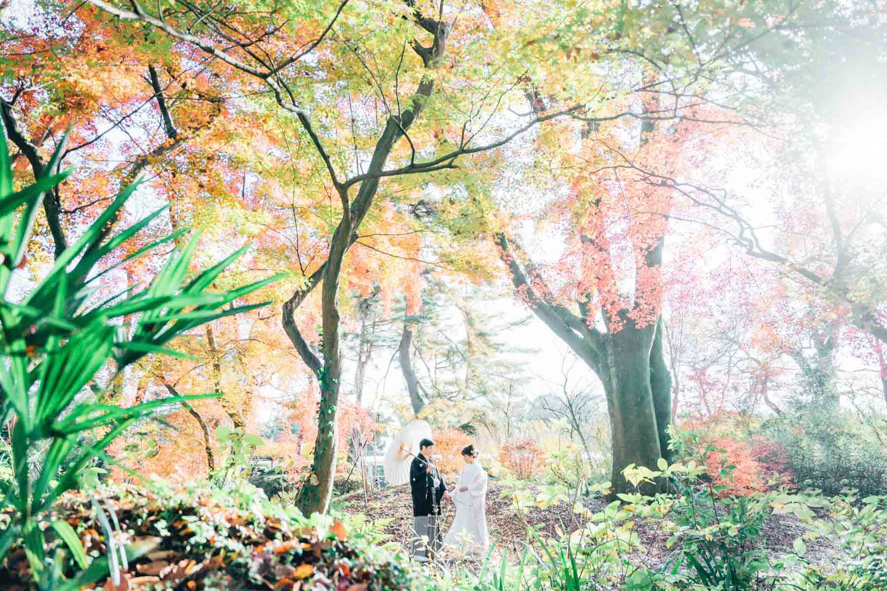 京都前撮り