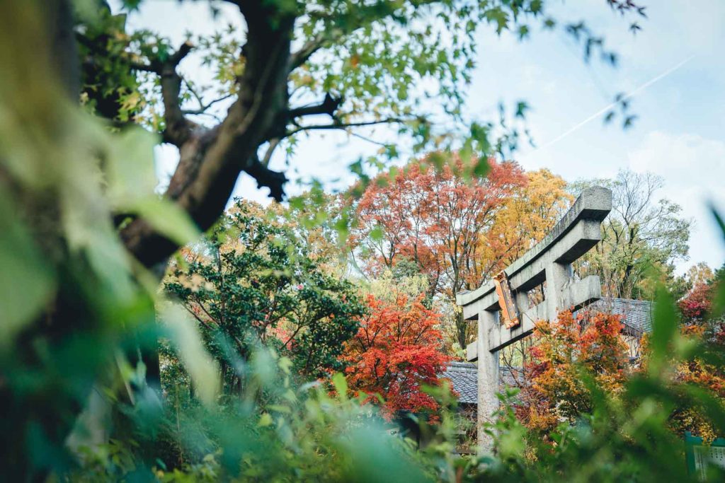 梨木神社での結婚式写真の出張撮影持ち込みカメラマン