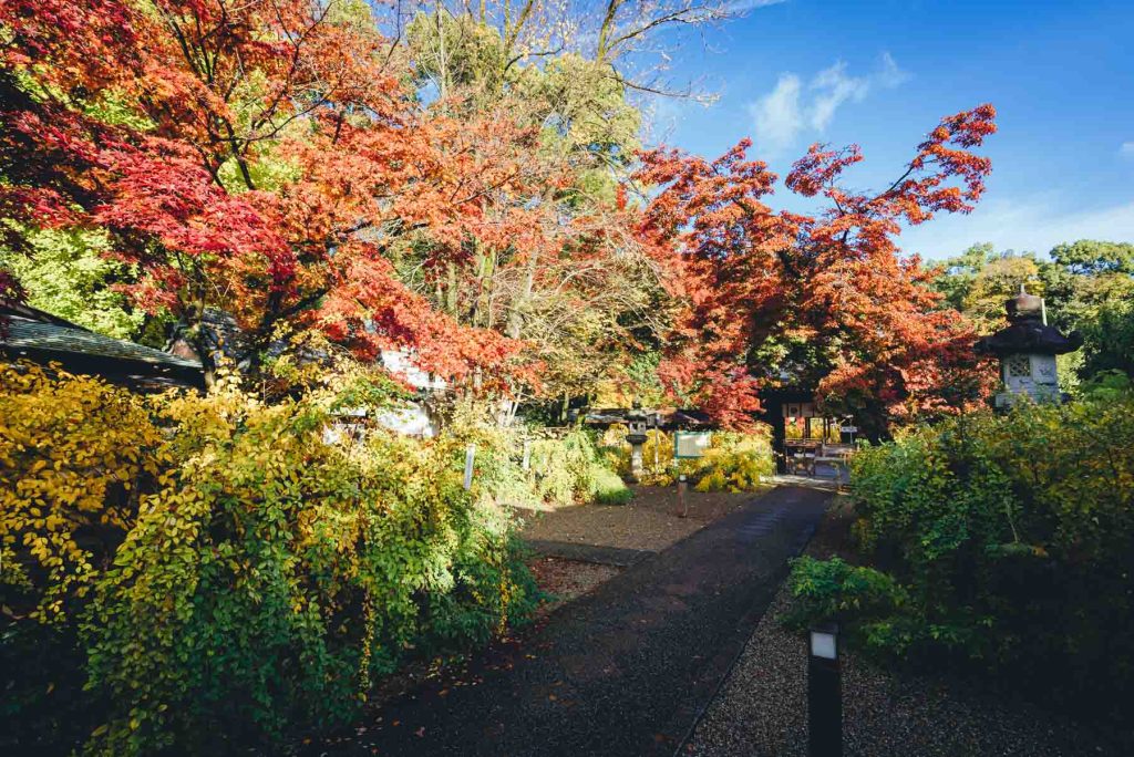 梨木神社での結婚式写真の出張撮影持ち込みカメラマン