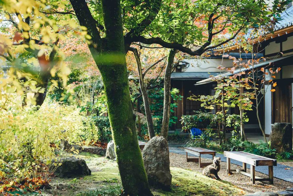 梨木神社での結婚式写真の出張撮影持ち込みカメラマン