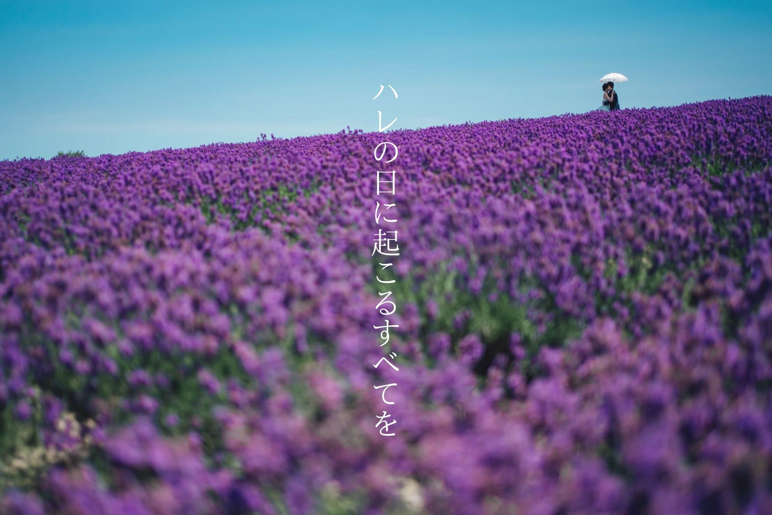 北海道ラベンダーウエディング